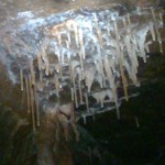 wild cave tour